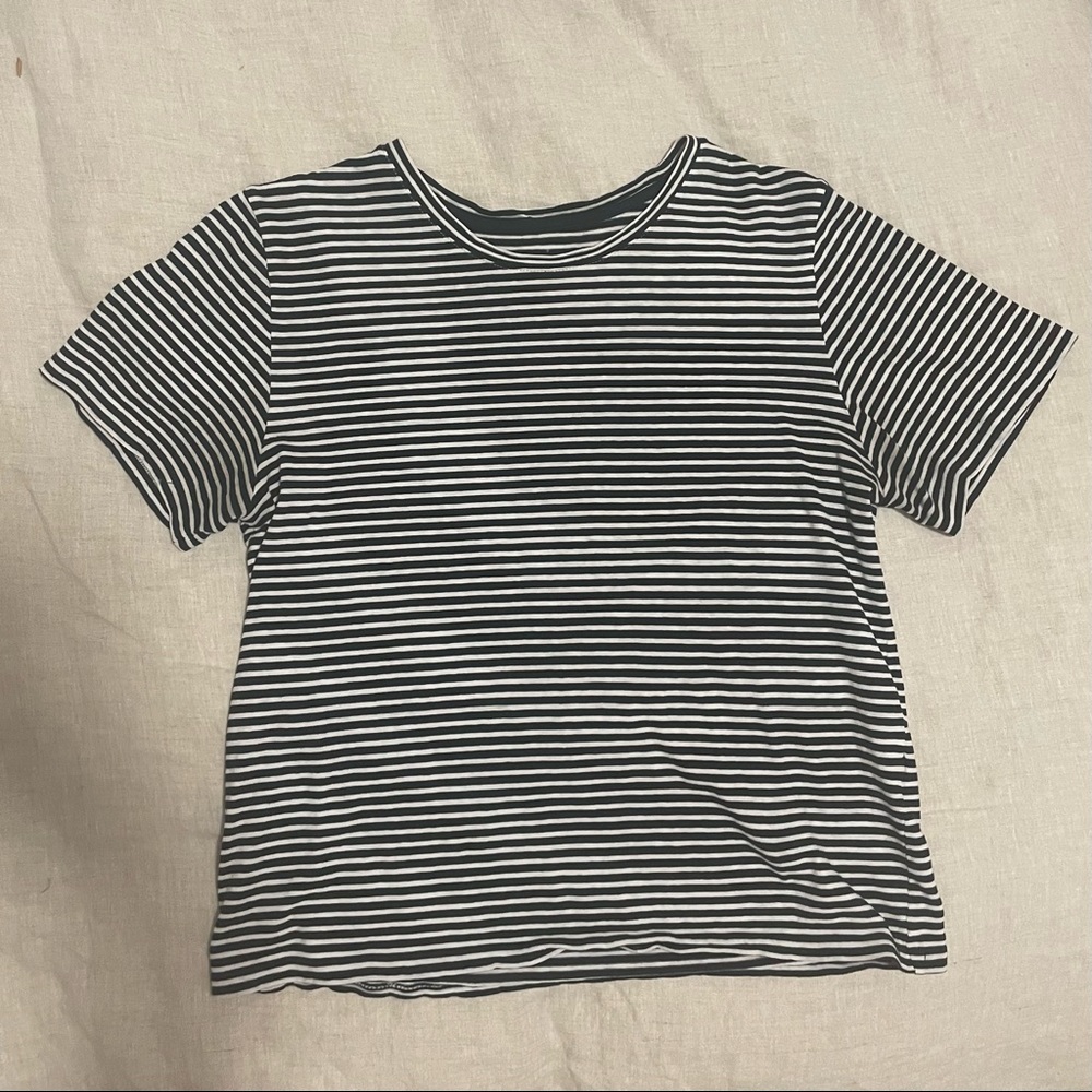 Everlane Striped Tee